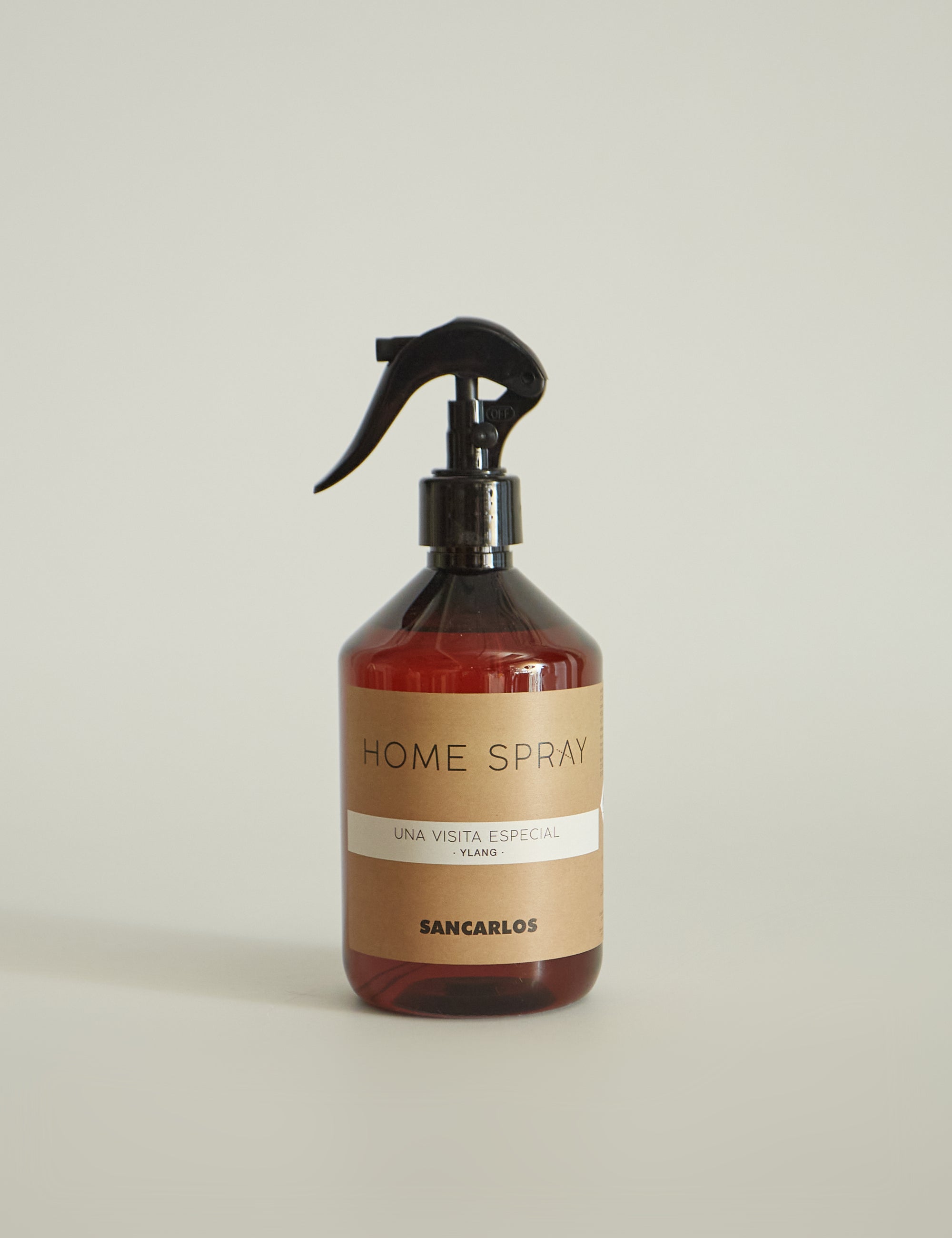 HOMESPRAY UNA VISITA ESPECIAL